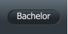 Bachelor